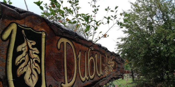 V podhradí Karlštejna: Příroda, klid a spousta turistických zajímavostí v okolí