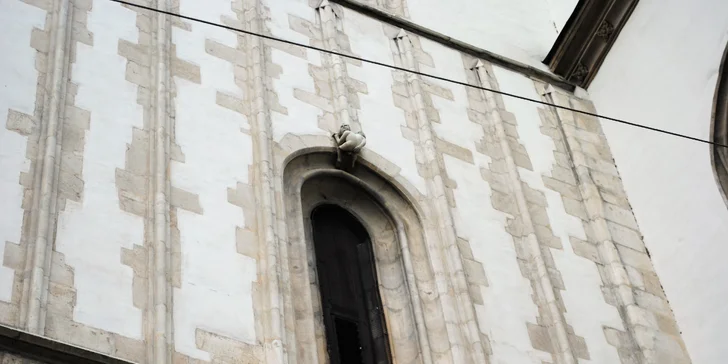 Komentovaná procházka historickým centrem Brna pro skupinu