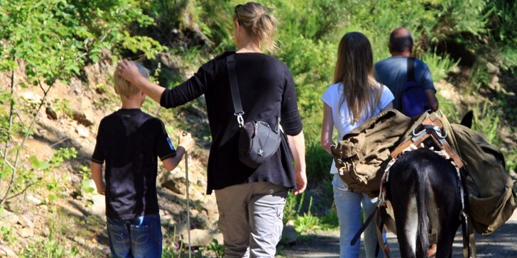 Vydejte se na výlet: Se čtyřnohým společníkem Oslí stezkou v přírodním parku