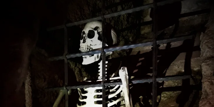 Hru si může užít až 5 hráčů.