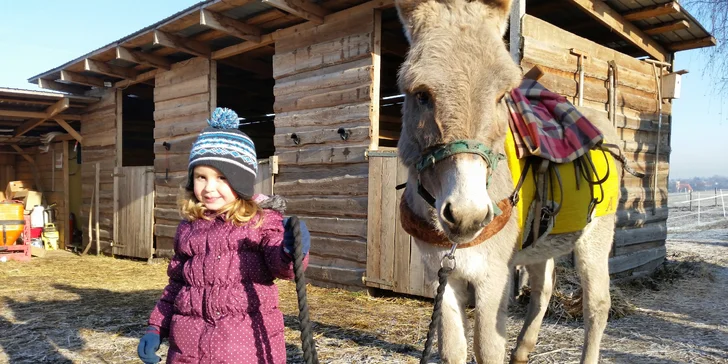 Vydejte se na výlet: Se čtyřnohým společníkem Oslí stezkou v přírodním parku