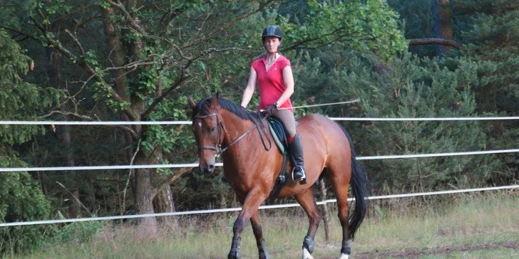 Pohlédněte na svět z koňského hřbetu - 45 nebo 90minutová vyjížďka do přírody