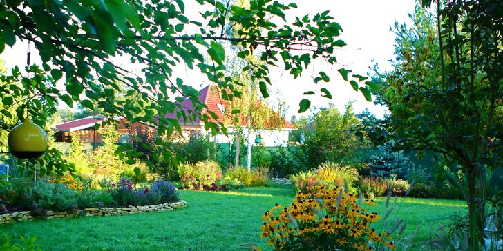 Navrhněte si vlastní zahradu: 2hodinová konzultace se zahradním designérem