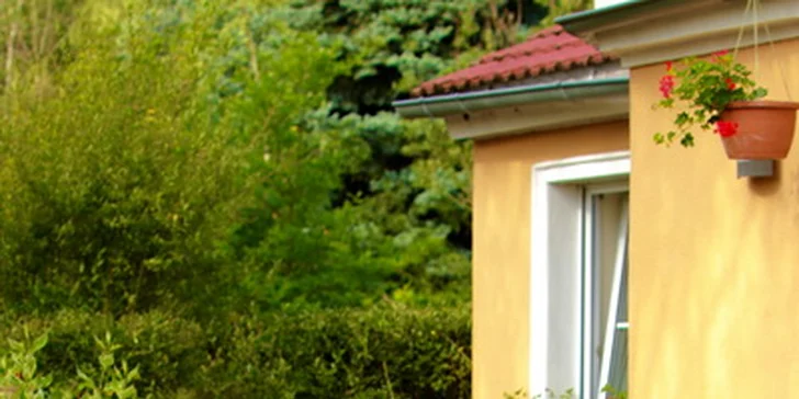 Navrhněte si vlastní zahradu: 2hodinová konzultace se zahradním designérem