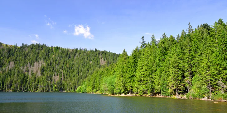 Šumava od jara do léta: pobyt v Hartmanicích s jídlem + 1 dítě do 10 let zdarma