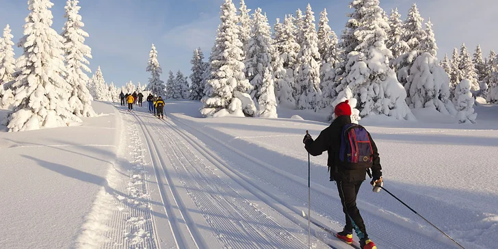 Pohoda v Bavorském lese 11 km od hranic a neomezený vstup do aquaparku