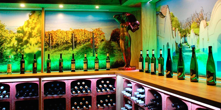 Neomezená vinná degustace moravských vín a sektů vč. možnosti občerstvení