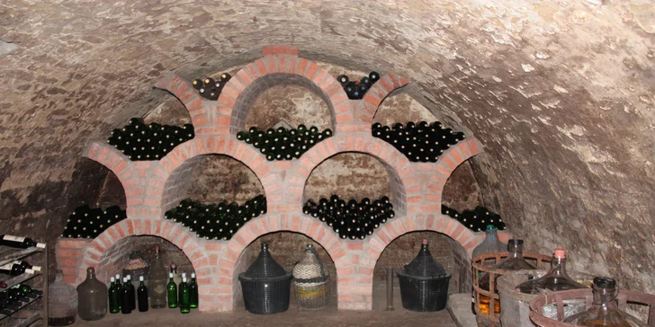 Vinařský pobyt s degustací na jižní Moravě: platnost na celou sezonu 2019