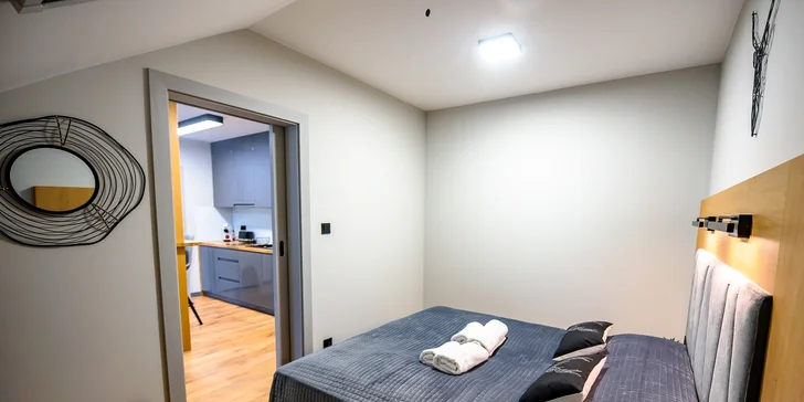 Apartmán Deluxe Suite s vírivkou