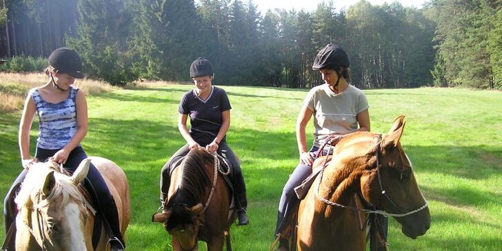 Relaxace u koní: Zkuste si práci na farmě v Jezdeckém klubu ARIS