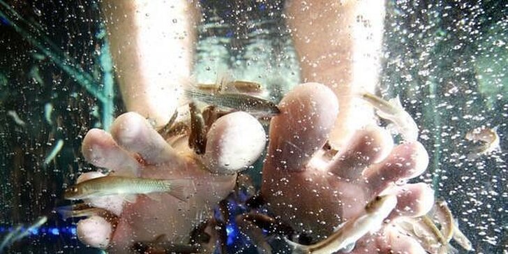 Koupel nohou s rybkami Garra rufa: Jednotlivé vstupy i permice pro celou rodinu