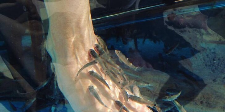 Koupel nohou s rybkami Garra rufa: Jednotlivé vstupy i permice pro celou rodinu