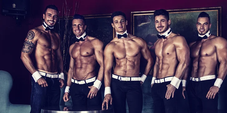 Žhavý pánský striptýz: Dream Men Show