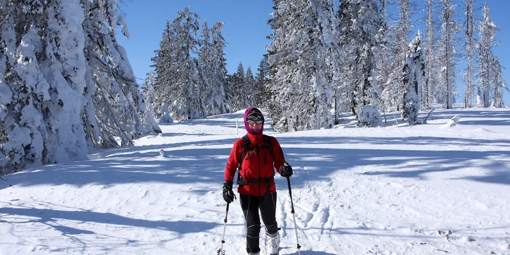 Rodinná dovolená v podhůří Šumavy - 4 či 7 dní s polopenzí pro 2 dospělé a dítě