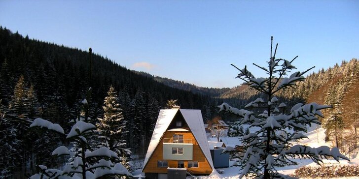 Rodinné apartmány s možností wellness a lyžařský vlek zdarma