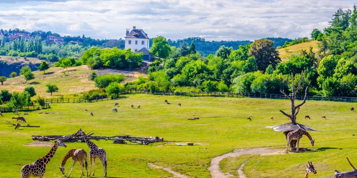 V ceně balíčku s grilováním máte i vstupenky do jedné ze čtyř památek a atrakcí.
