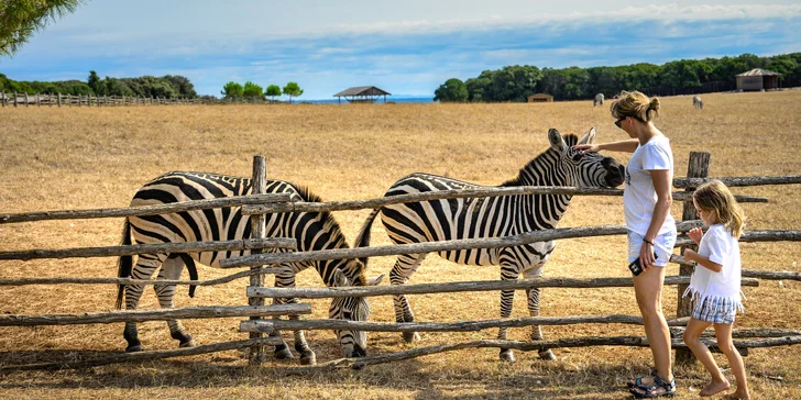 Na ostrově je kromě jiného safari park (cca 2,5 km od hotelu). 
