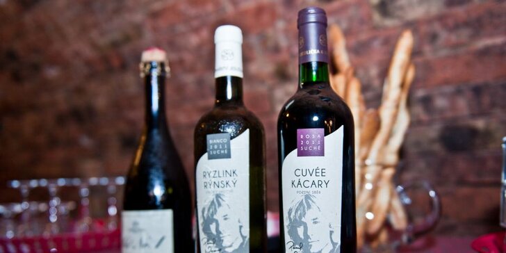 Vinařský pobyt na Kraví hoře: noci nad sklípkem, degustace vín a polopenze