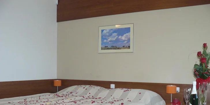 Zimní wellness pobyt se snídaní v krásném penzionu HippoClub na Liptově