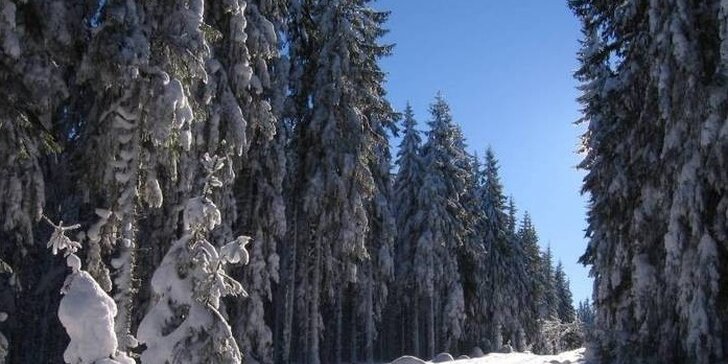 Zimní radovánky na Lipně se vším všudy: Wellness, polopenze i skvělé lyžování