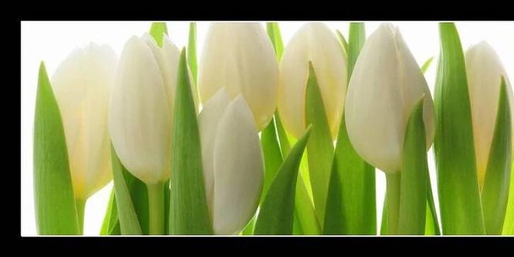 Nádherný valentýnský pugét z růží nebo kytice z barevných tulipánů
