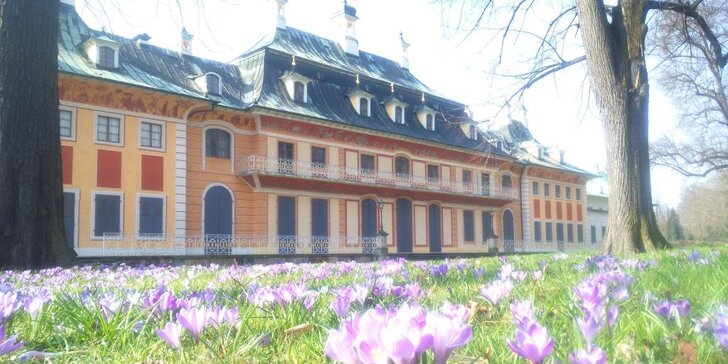 Kvetoucí kamélie zámeckého parku v Pillnitz a výstava Mezinárodní svět orchidejí