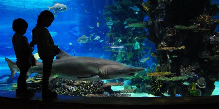 Výlet do Tropicaria v Budapešti, svou rozlohou největšího akvária ve střední Evropě