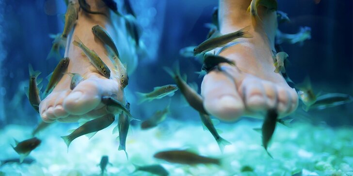 Péče o nohy a ruce: Vstupy nebo permanentka do lázně s rybkami Garra Rufa