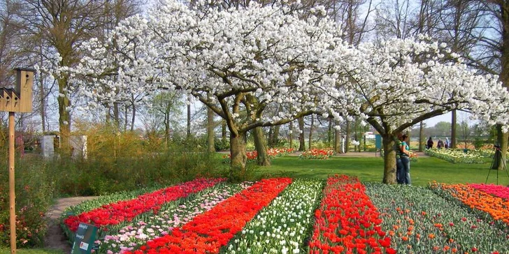 Květinový park Keukenhof s návštěvou Amsterdamu: 1x ubytování se snídaní