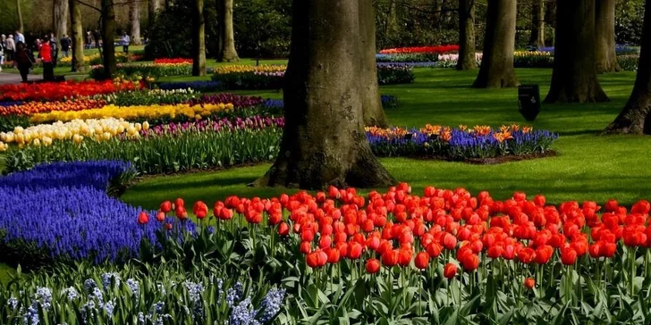 Květinový park Keukenhof s návštěvou Amsterdamu: 1x ubytování se snídaní