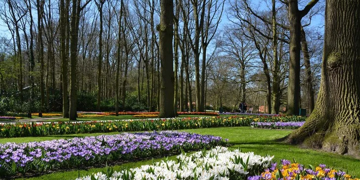Květinový park Keukenhof s návštěvou Amsterdamu: 1x ubytování se snídaní