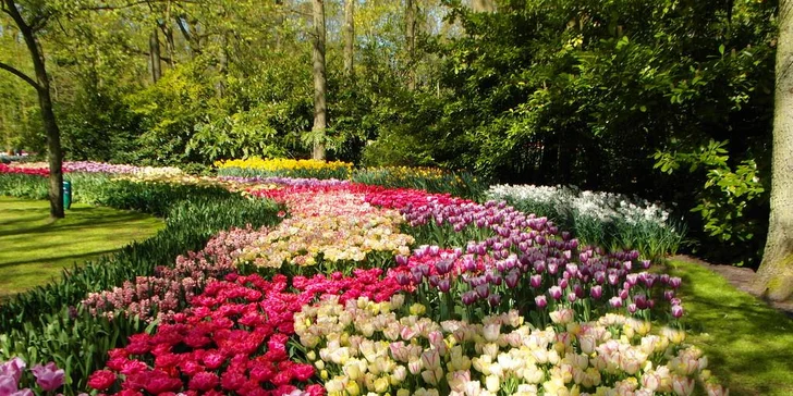 Květinový park Keukenhof s návštěvou Amsterdamu: 1x ubytování se snídaní