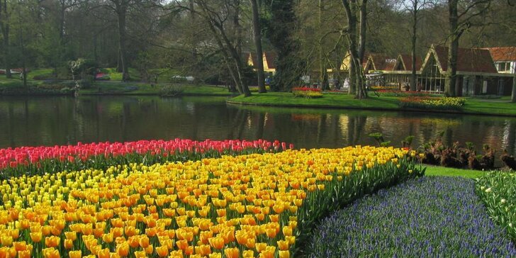 Květinový park Keukenhof s návštěvou Amsterdamu: 1x ubytování se snídaní
