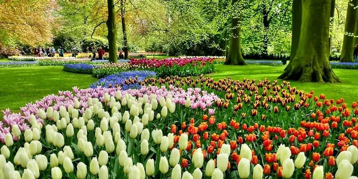 Květinový park Keukenhof s návštěvou Amsterdamu: 1x ubytování se snídaní