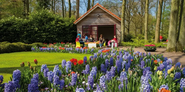 Holandsko na 1 noc se snídaní - Tulipány, sýry, Severní moře a Amsterdam