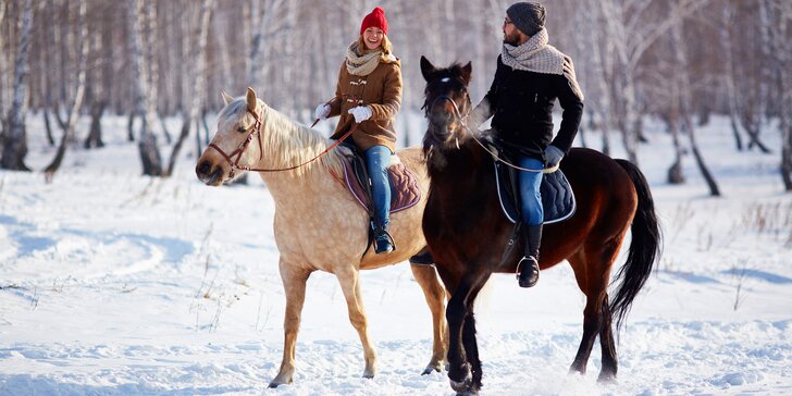 60 minut na koni: Vyjížďka pro zkušené nebo výuka jízdy pro začátečníky
