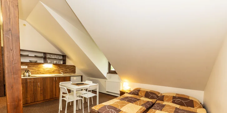 Vlastní dobroty si můžete připravit díky plně vybavené kuchyňce, která je součástí každého apartmánu.
