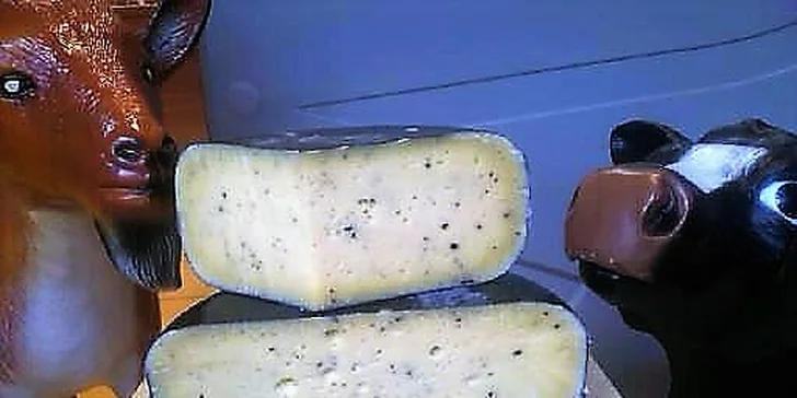 Z holandských pastvin na váš stůl: Farmářský sýr s lanýži nebo lahodná gouda