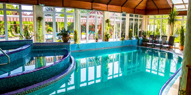 Skvělý pobyt u Dunaje: neomezený vstup do wellness, bohatá polopenze