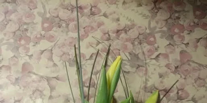 Čerstvé tulipány nebo růže v šesti barvách - darujte jeden, nebo poskládejte pugét