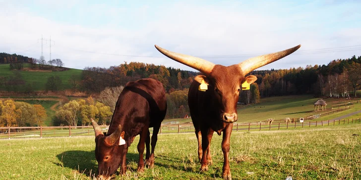 Rodinná vstupenka do Farmaparku: krmení zvířátek, hřiště a spousta prima atrakcí