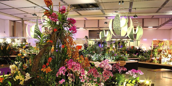 Drážďany: velikonoční trhy, výstava orchidejí, prohlídka města a možnost nákupů