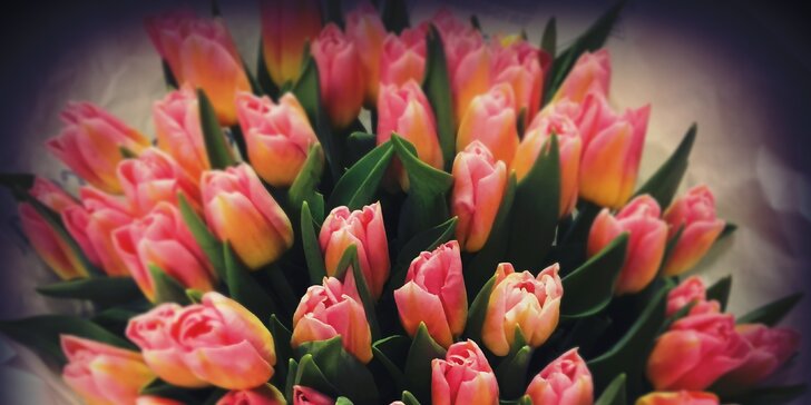 Čerstvé tulipány nebo růže v šesti barvách - darujte jeden, nebo poskládejte pugét