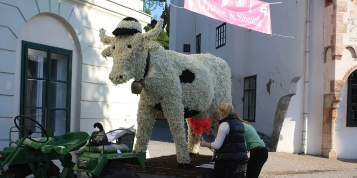 58. ročník největšího květinového svátku v Rakousku: Festival narcisů + Hallstatt