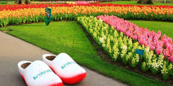 Velikonoční výlet do Holandska za tulipány v parku Keukenhof, sýry i památkami