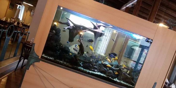Víkendový rodinný oběd ve Vzducholodi Plaudit s dětským koutkem