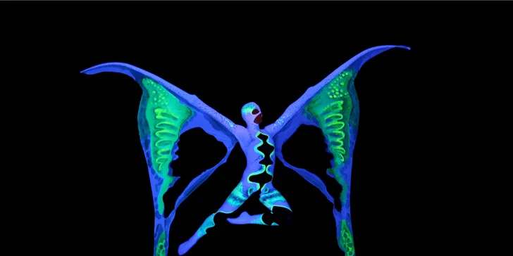 Vstupenka na dětské představení Živý Kaleidoskop v Divadle Image