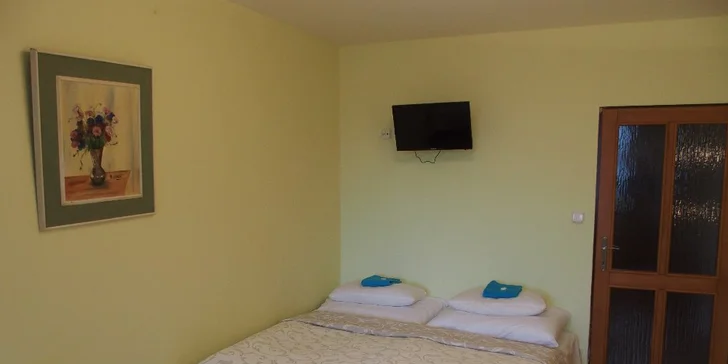 Šumava od jara do léta: pobyt v Hartmanicích s jídlem + 1 dítě do 10 let zdarma