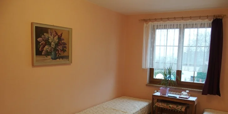 Šumava od jara do léta: pobyt v Hartmanicích s jídlem + 1 dítě do 10 let zdarma