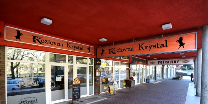 Vstupenka na 1. ples Kozla v Jihlavě